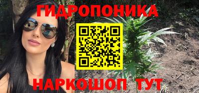 прущие крисы Ставрополь